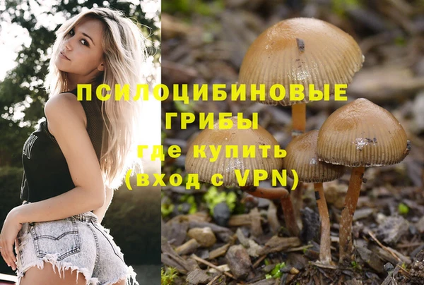 скорость Семёнов