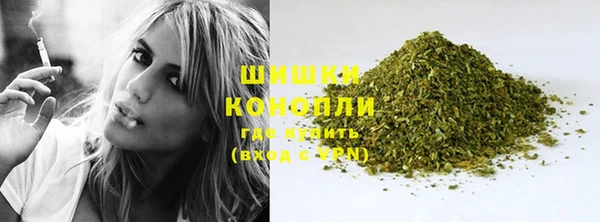 шишки Балахна